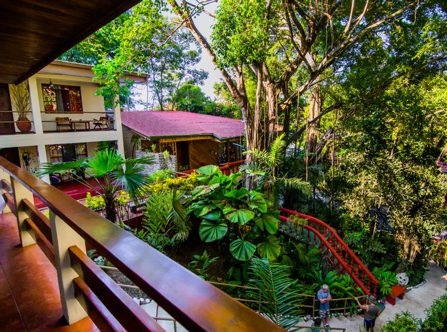 Jungle Beach Hotel photo